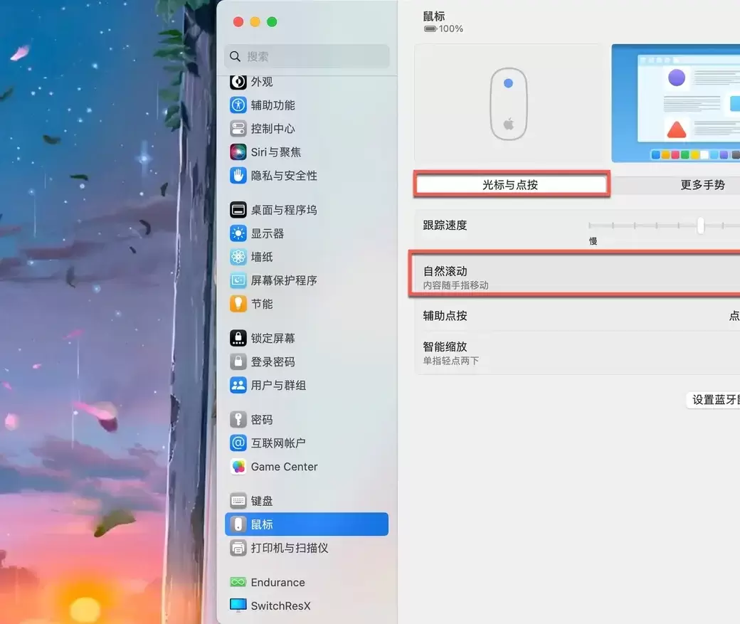 Mac外接鼠标滚动方向设置：关闭自然滚动与触控板分离方案